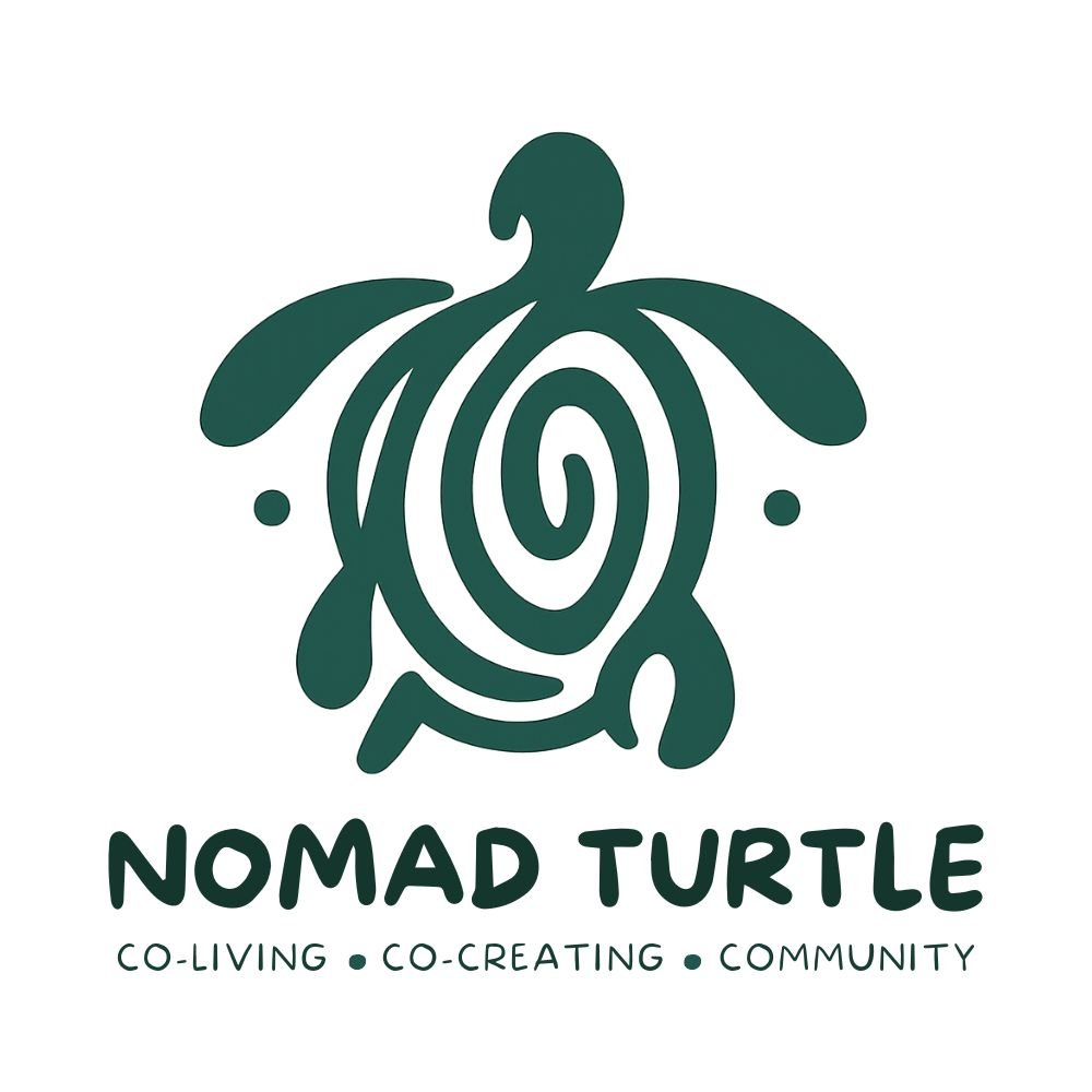 nomad turtle