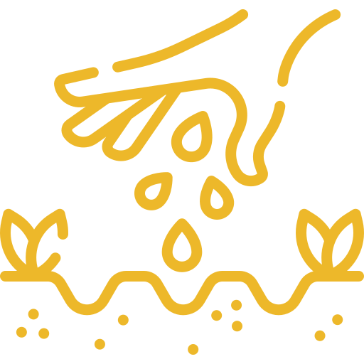 seed food coliving experience